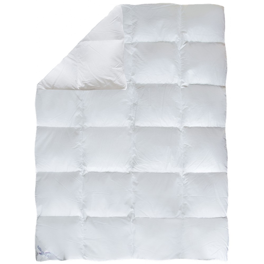 Одеяло Billerbeck Аделия К-0 теплое 140х205 см 0590-20/01