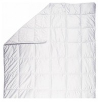 Фото Одеяло Billerbeck Камелия 200х220 см 0570-10/03