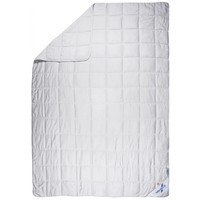 Фото Одеяло Billerbeck Тиффани облегченное 172х205 см 0471-21/02